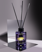 PASSPORT DIFFUSER — Universal Citizen