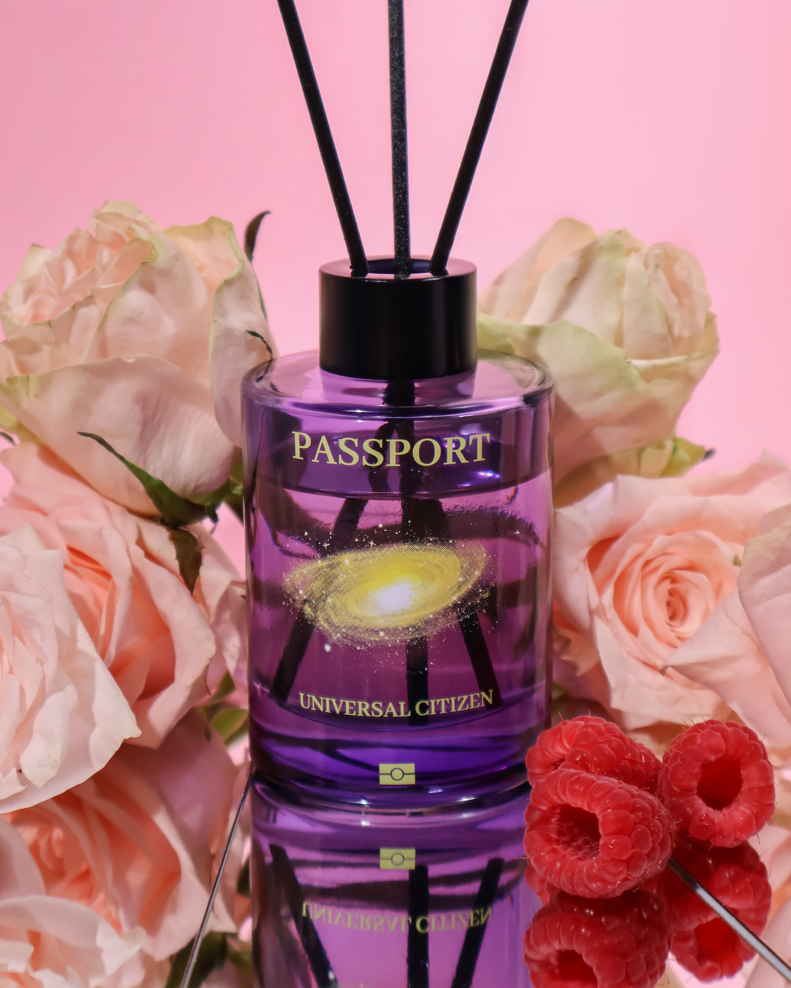 PASSPORT DIFFUSER — Universal Citizen